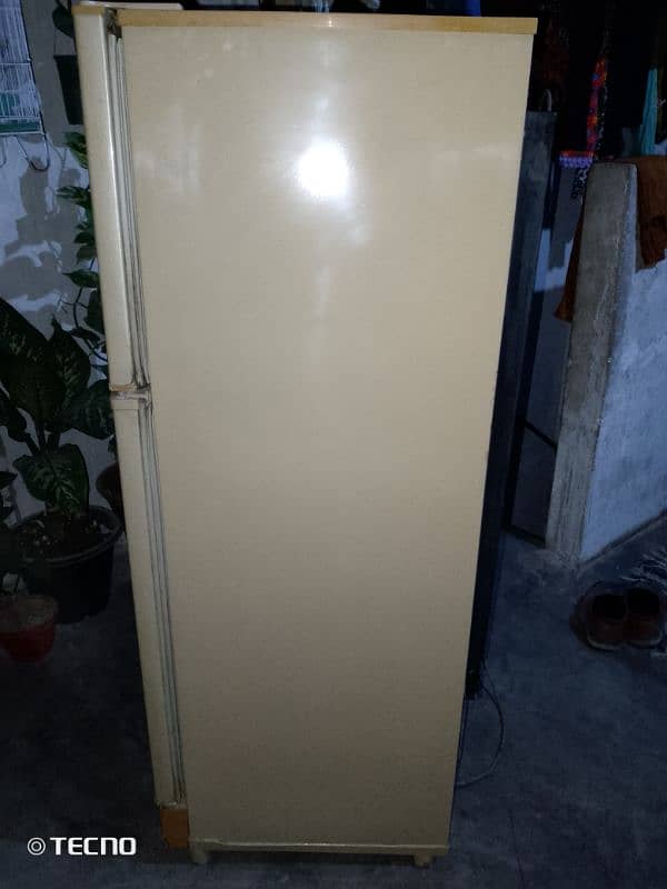 pel refrigerator medium size 2