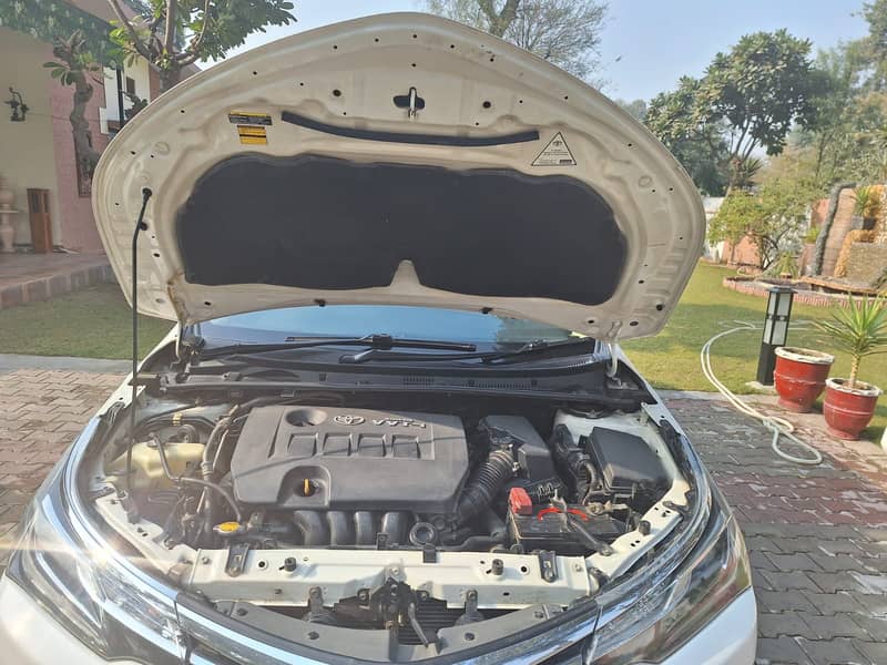 Toyota Altis Grande 2019 genuine 12