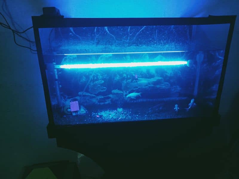 2.5 aquarium 0