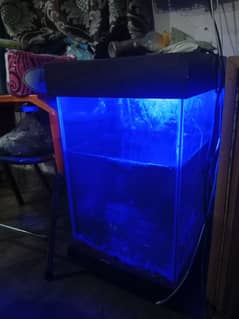 1 molly fish pair+1 loght fish pair with heater oxygen pipe aquarium