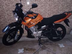 Yamaha ybr 125g