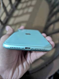 iPhone 11 blue colour new condition