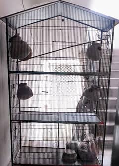 Parrot cage