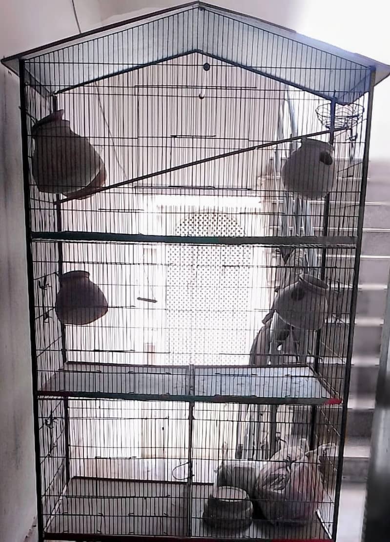 Parrot cage 0