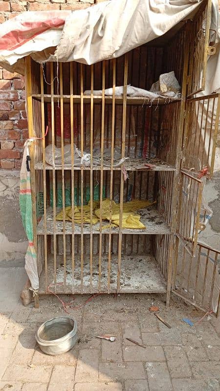 Hen Cage for Sale 0