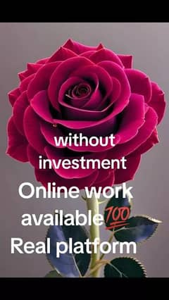 Without investment Online Work Available 100%real work