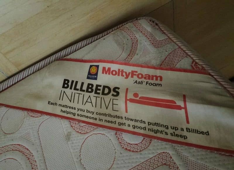 Molty King Mattress 2