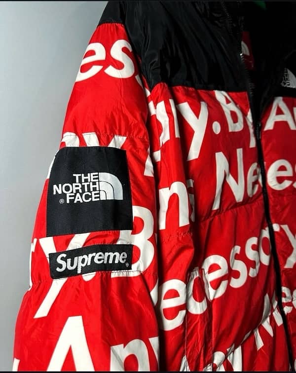 North Face x S. UPREME. . . jacket 2