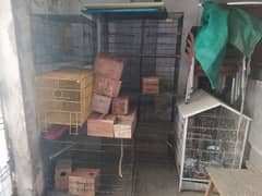 lovebird breeding boxs