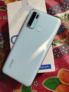 Vivo