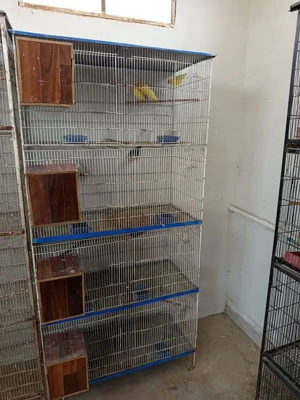 cage | iron cage | love birds cage | 8  portions cage | folding cage 1