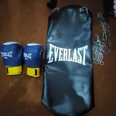 Boxing bag with gloves