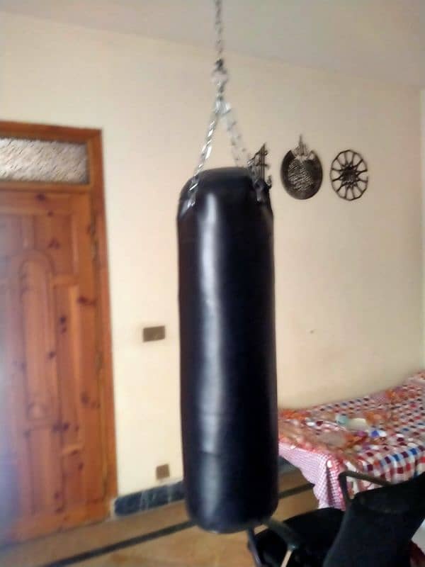 Boxing bag with gloves 1