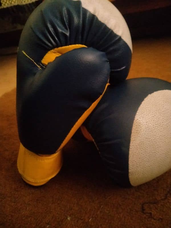 Boxing bag with gloves 3