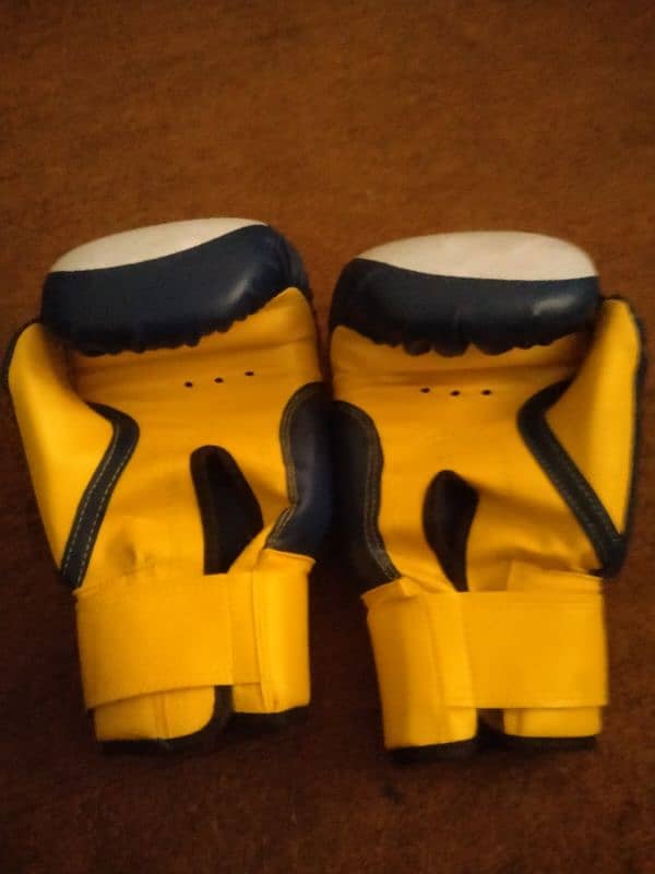 Boxing bag with gloves 4