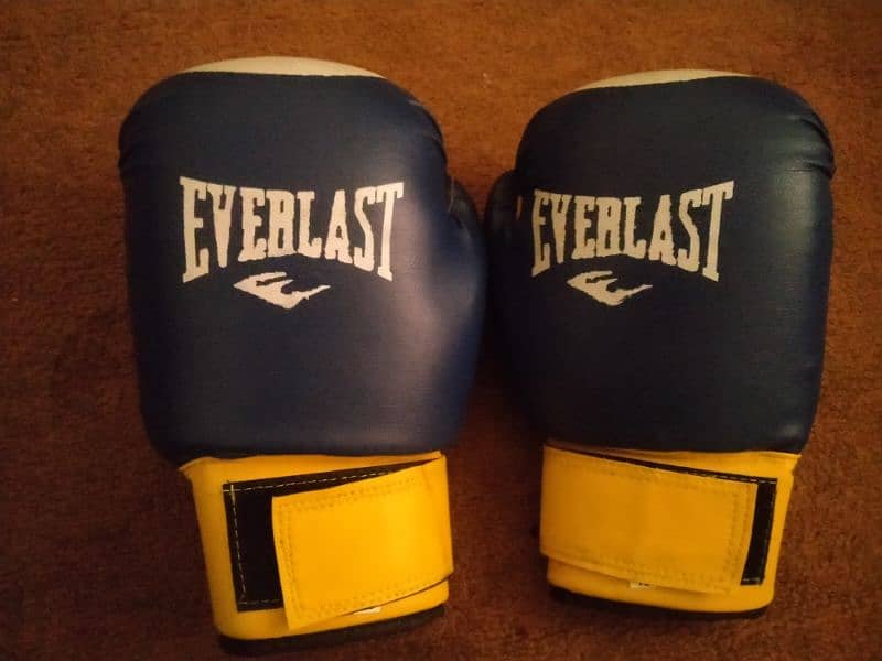 Boxing bag with gloves 5