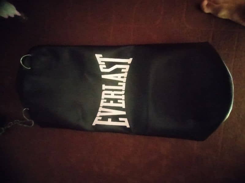 Boxing bag with gloves 7