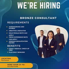 Bronze Consultant