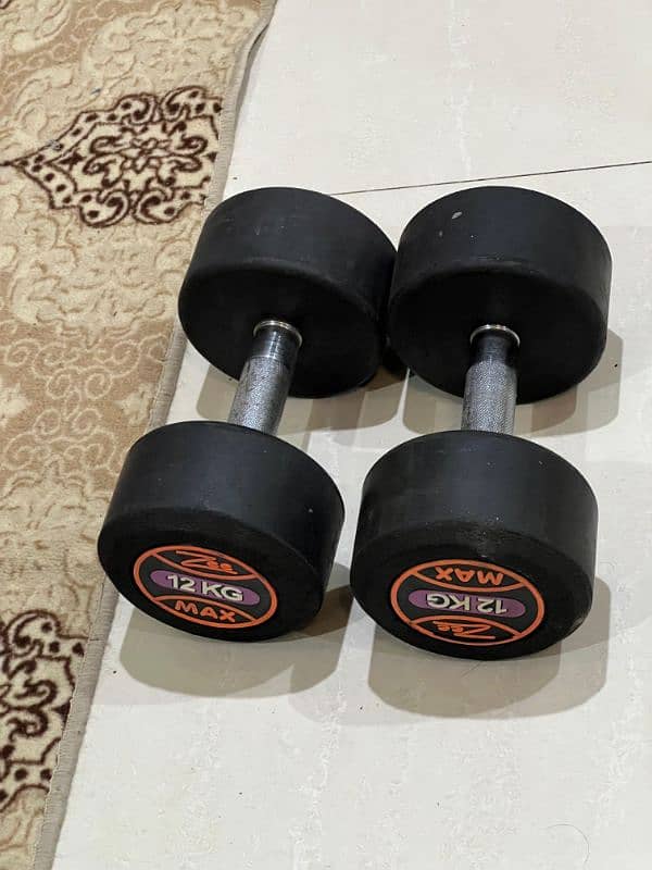 Almost New Dumbbells 0