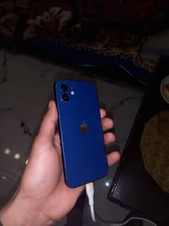 iPhone 12 non pta jv