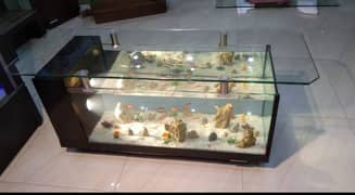 coffee table aquarium