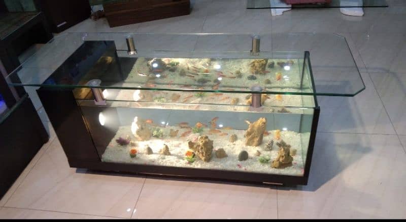 coffee table aquarium 0