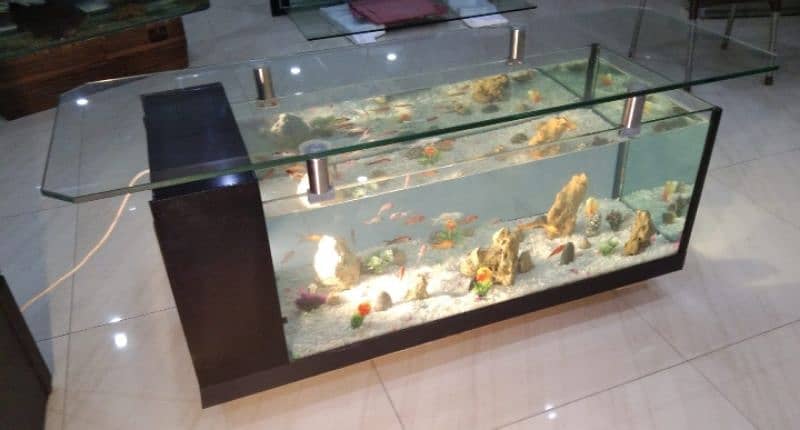 coffee table aquarium 2