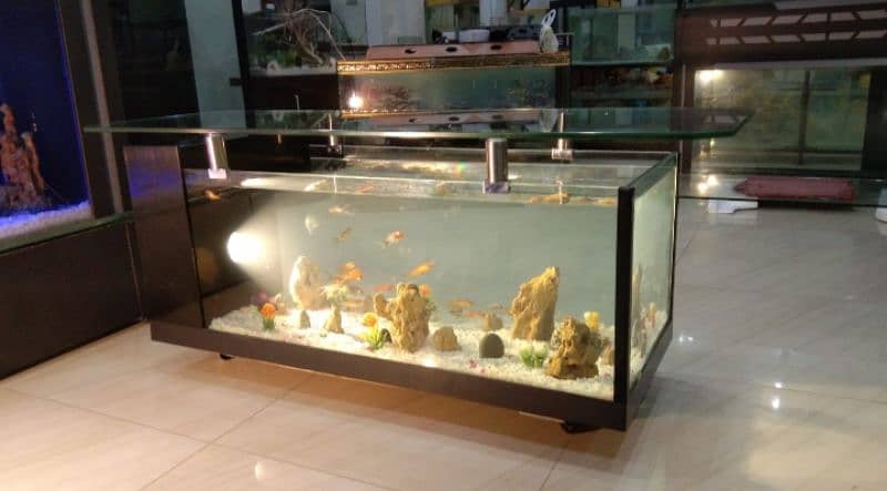 coffee table aquarium 3