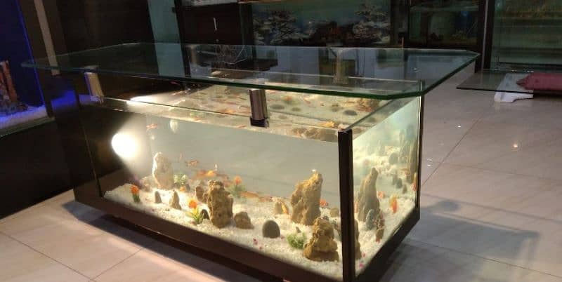 coffee table aquarium 4