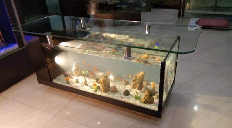 coffee table aquarium 5