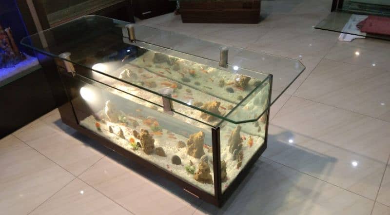 coffee table aquarium 7