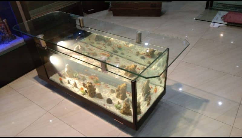 coffee table aquarium 8