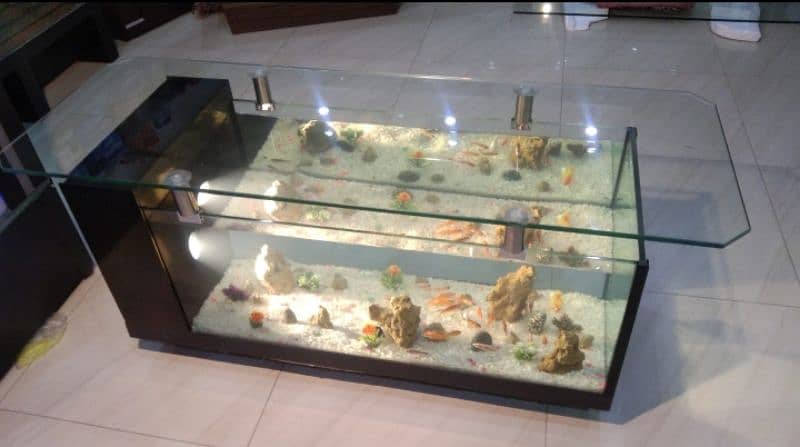 coffee table aquarium 10