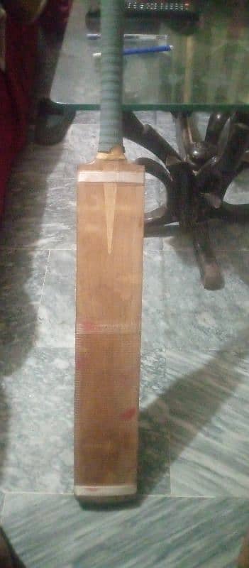 hard ball cricket bat 0