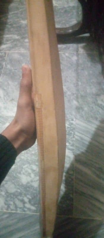 hard ball cricket bat 1