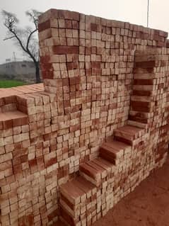 Shahzad bricks