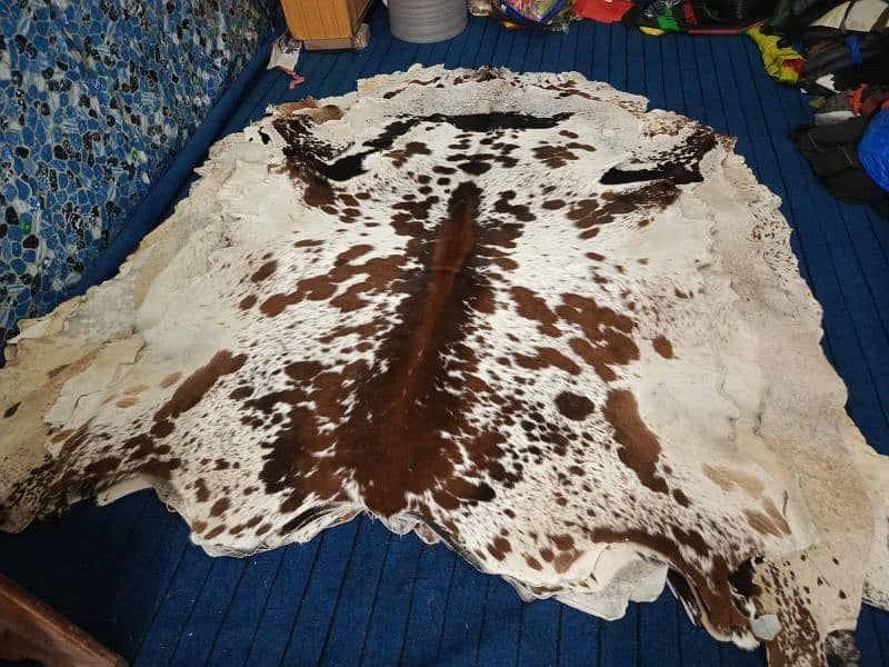 COWHIDE LEATHER RUGS TRICOLOR COW HIDE SKIN CARPET AREA 5