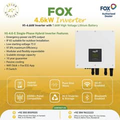 Fox On Grid Inverters /10kw / 15KW/17KW/20KW / On grid Inverter