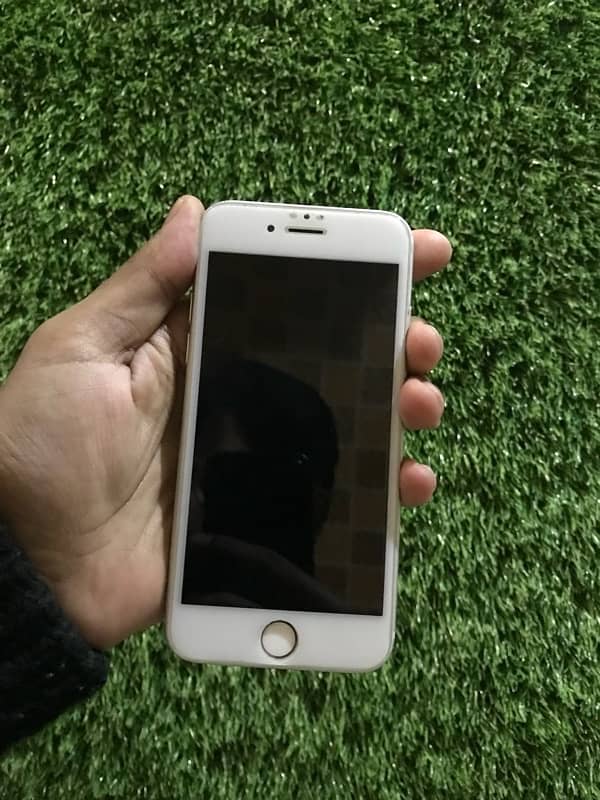 Apple iPhone 6 / 16 gb / pta approved 1