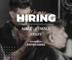 Shop SALESMAN |Jobs |Male Female Staff Required