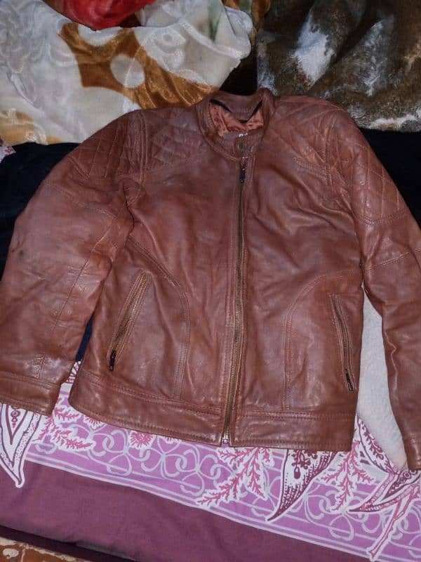 Jacket leather 1