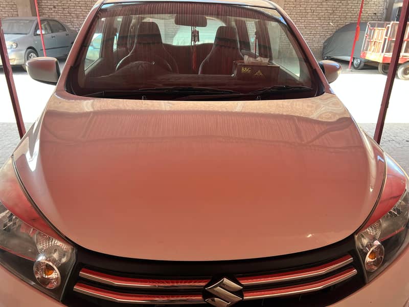 Suzuki cultus  2021 2