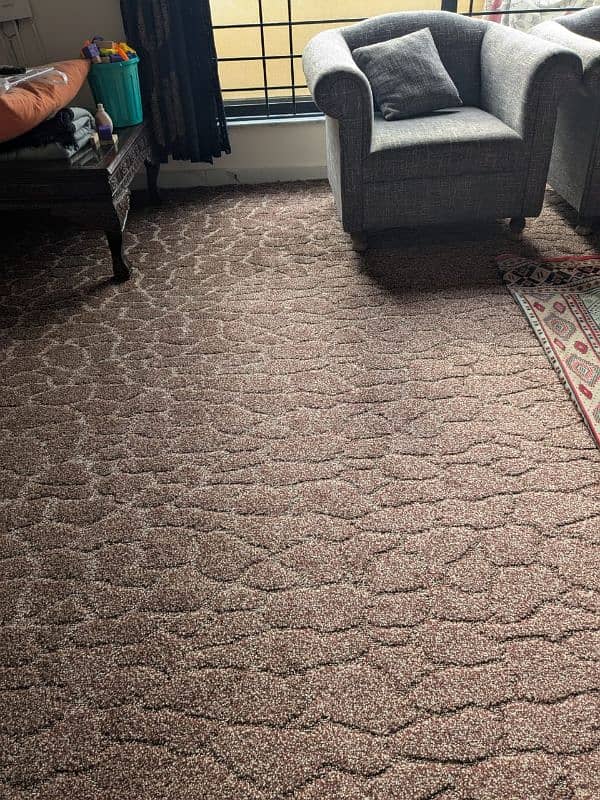 carpet New 0