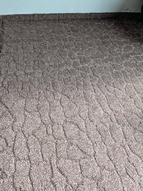 carpet New 1