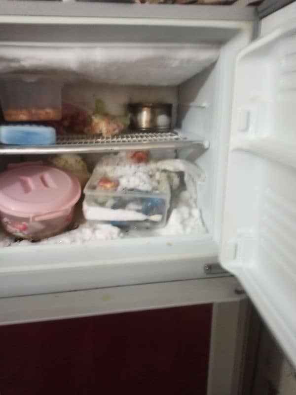 Dawlence Fridge 3