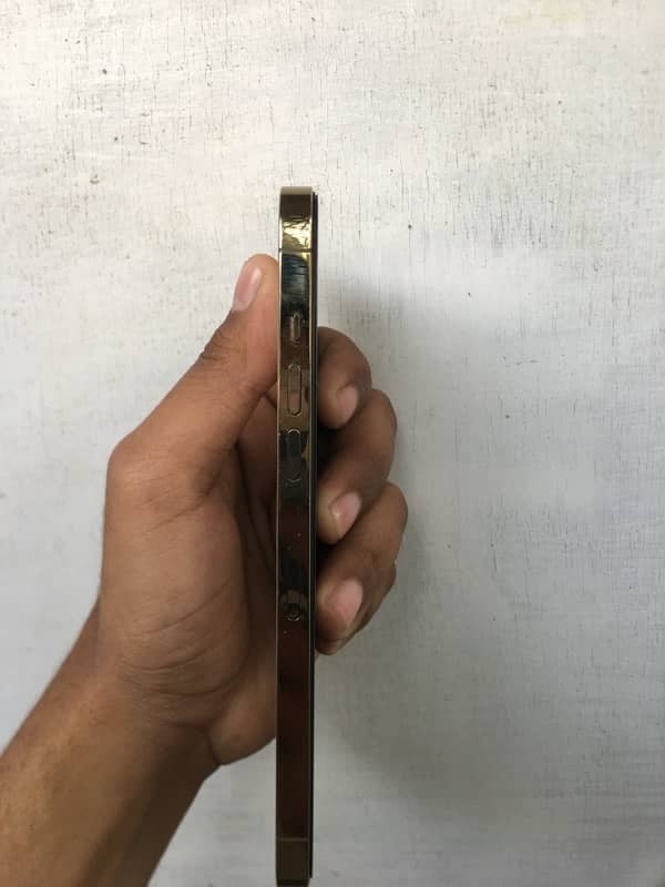 Iphone 12 promax jv 128gb golden colour 5