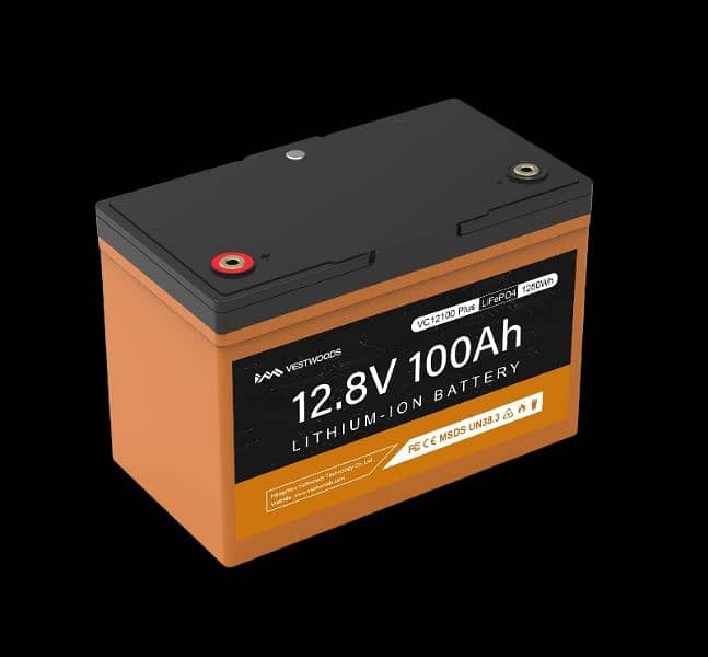 12 Volt 100 Ah Vestwoods Battery 0