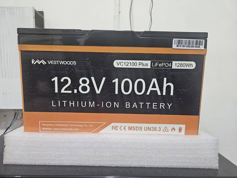 12 Volt 100 Ah Vestwoods Battery 1