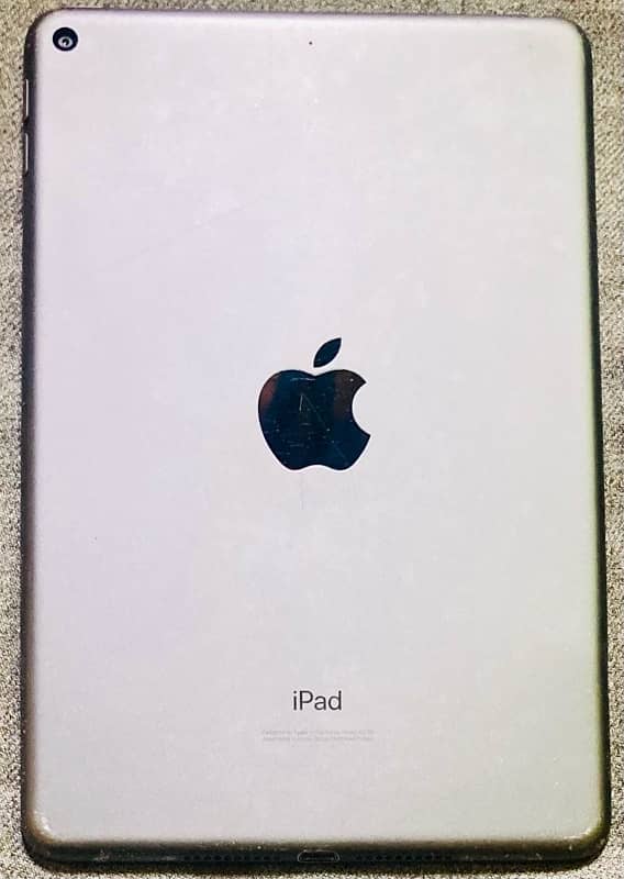 ipad mini 5 1