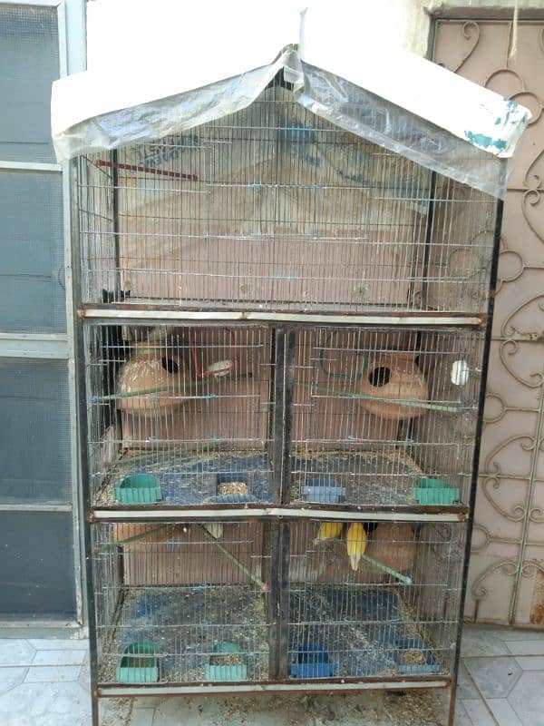 Cage And Parrot sale 3